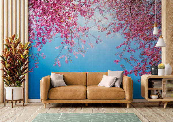 Papier peint Papier peint ciel bleu et branches de cerisiers floral apporte printanière