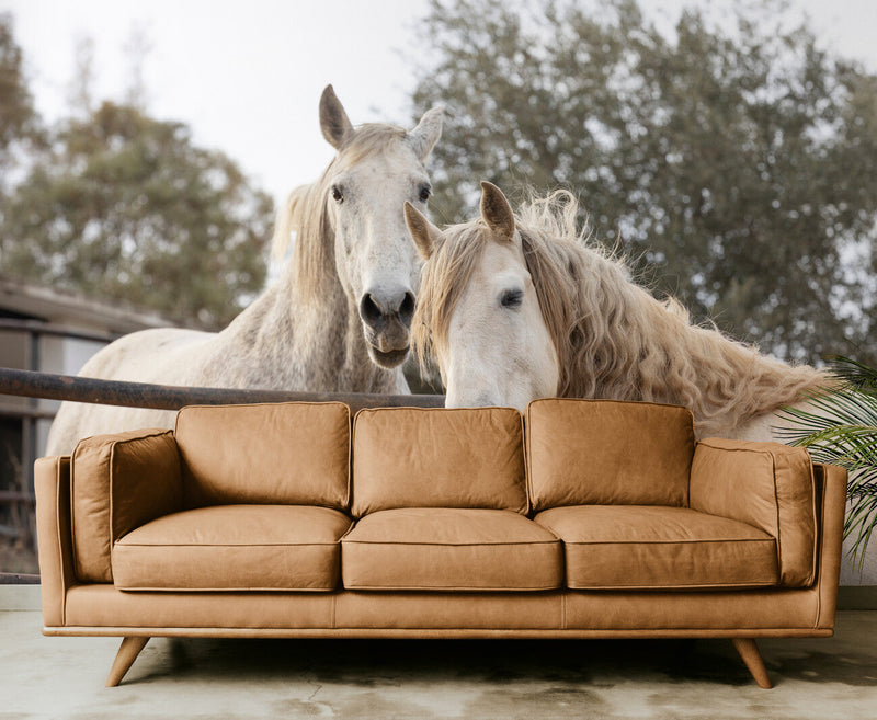 Papier peint Papier peint chevaux blanc aux tons paisible