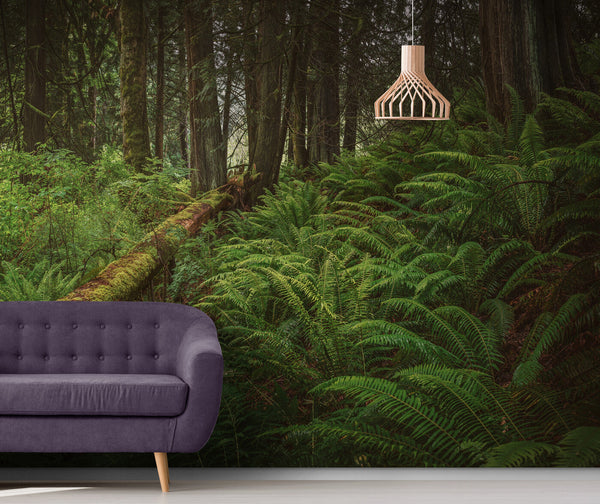 Papier peint Papier peint paysage forêt nordique apporte une sereine