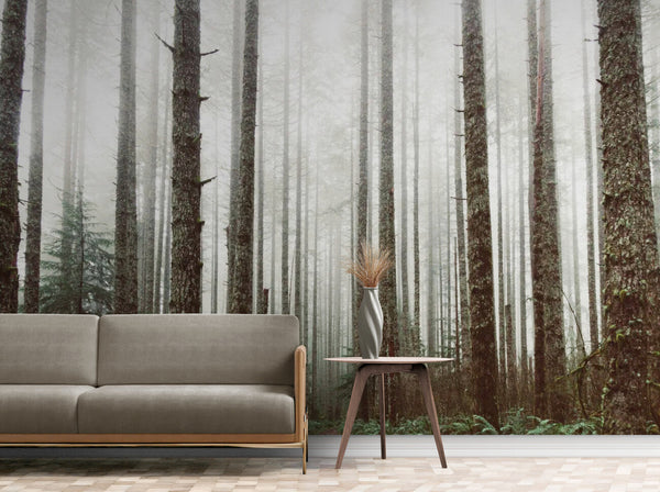 Papier peint Papier peint paysage forêt et brouillard évoque une sereine