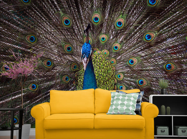 Papier peint Papier peint paon en forme apporte