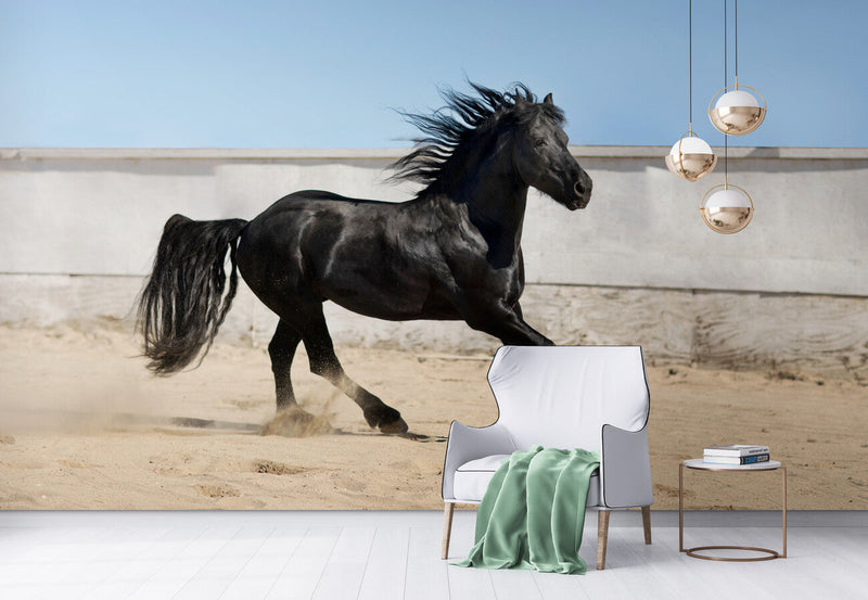 Papier peint Papier peint cheval noir est élégante