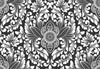 Papier peint baroque noir et blanc