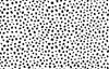 Papier peint Papier peint couloir noir et blanc animalier inspiré minimaliste