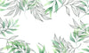 Papier peint feuillage salon