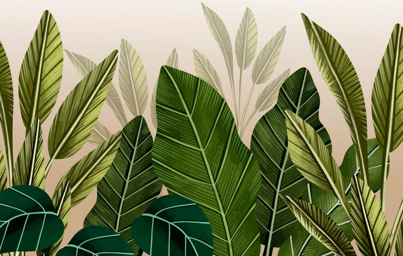 Papier peint Papier peint jungle couloir luxuriant de évoque