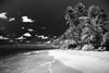 Papier peint paysage tropical sombre