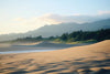 Papier peint paysage plage et forêt