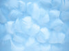 Papier peint plumes bleus