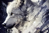 Papier peint art abstrait loup