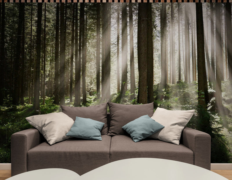 Papier peint Papier peint panoramique forêt sauvage réaliste. Les paisible