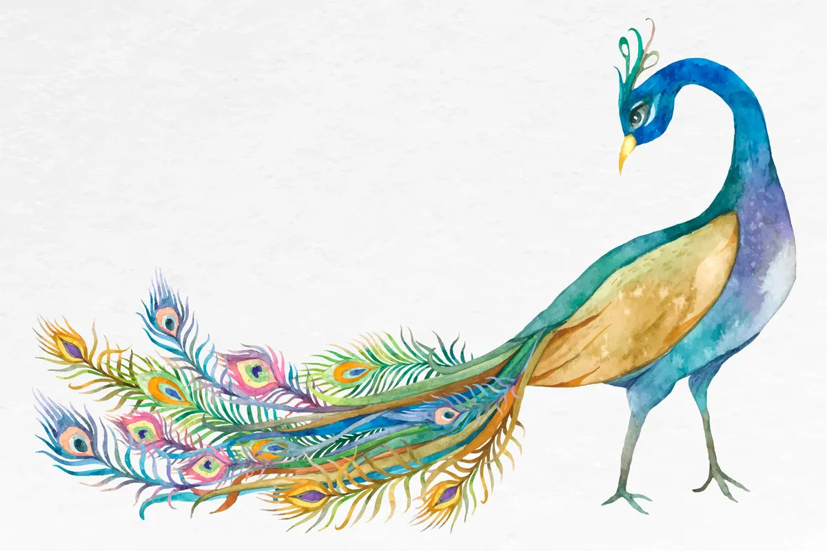 Papier peint paon design