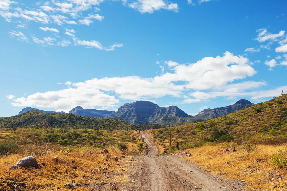 Papier peint chemin de terre et montagnes