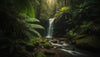 Papier peint paysage forêt tropicale