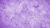 Papier peint vintage violet