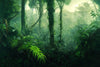 Papier peint panoramique forêt tropicale verdoyante