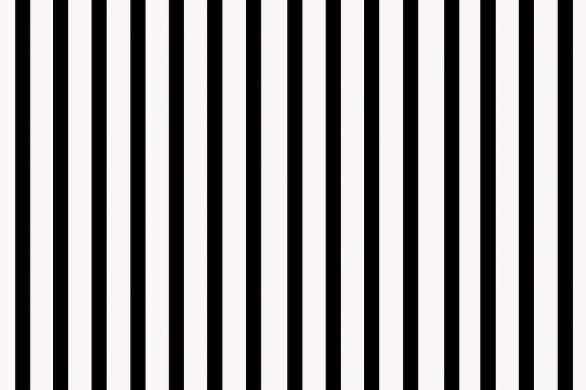 Papier peint lignes noir et blanc