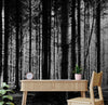 Papier peint Papier peint forêt dense noir et blanc minimaliste et dramatique.