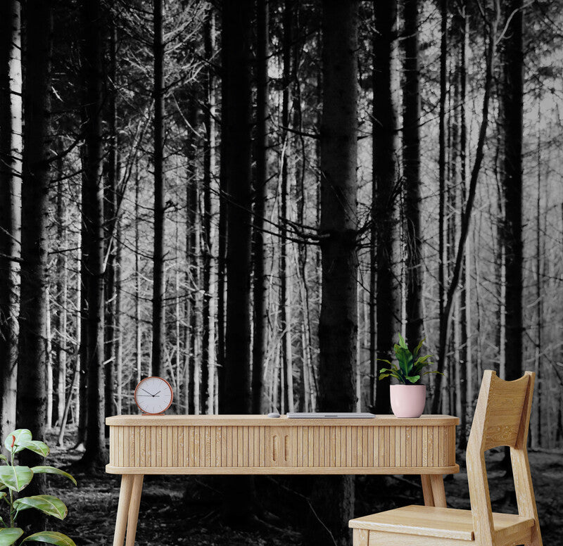 Papier peint Papier peint forêt dense noir et blanc minimaliste et dramatique.