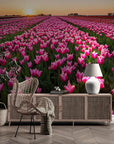 Field of pink flowers wallpaper