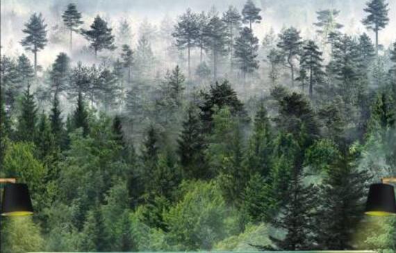 Papier peint paysage de forêt brumeuse
