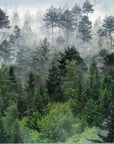 Papier peint paysage de forêt brumeuse