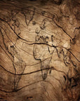 Papier peint bois carte du monde