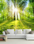 Panoramic forest landscape with sunrise wallpaper