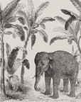 Panoramic tropical jungle and elephant wallpaper