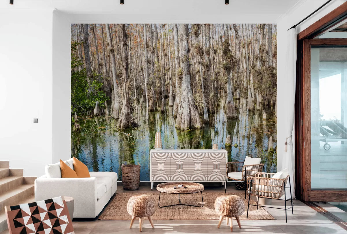 Swamp forest wallpaper
