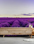 Lavender wallpaper