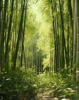 Bamboo forest path wallpaper