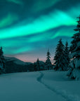 Snowy forest and aurora borealis wallpaper