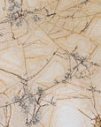 Beige and brown marble wallpaper