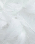 Panoramic white feather wallpaper
