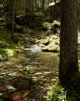 Forest and stream landscape wallpaper
