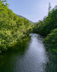 Panoramic forest and river wallpaper
