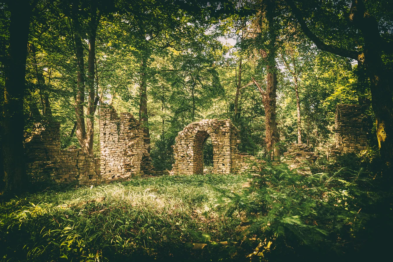 Ruins in the forest wallpaper